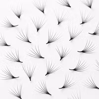 Bislash Pre Made Volume Fans 6D - ca 125 st