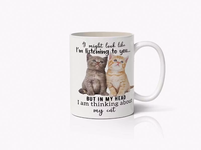 Thinking about my cat