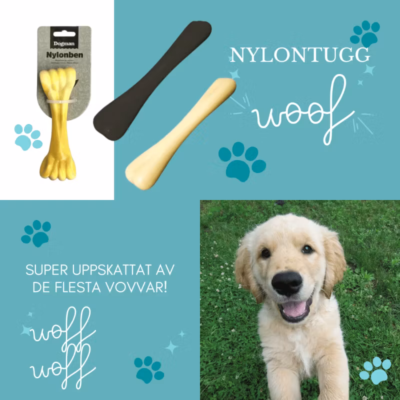 Hjälp min hund är allergisk! eller känslig mage!