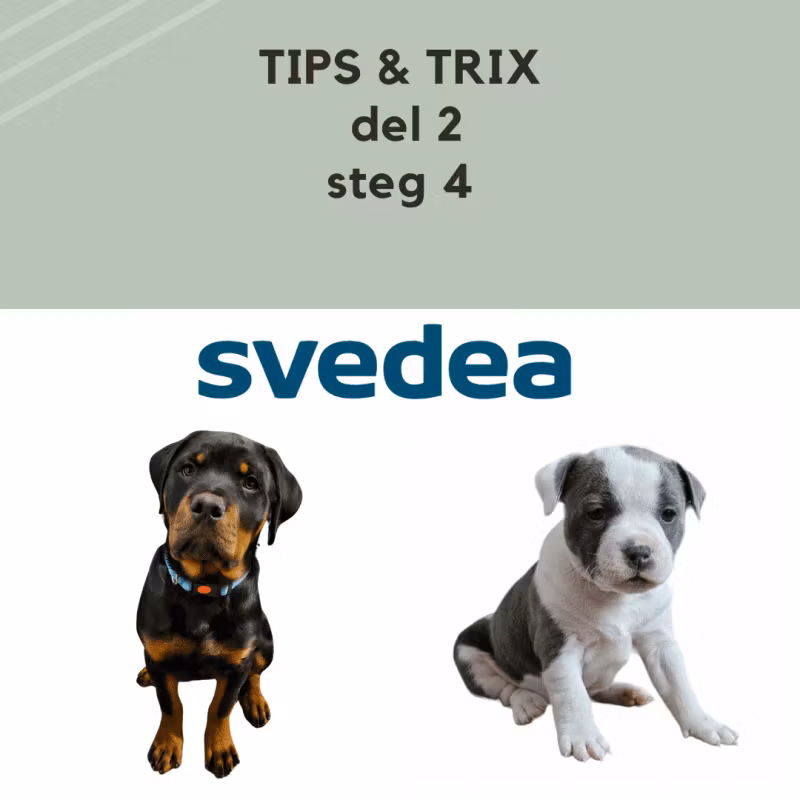 DEL 2 Tips & Trix - Försäkring
