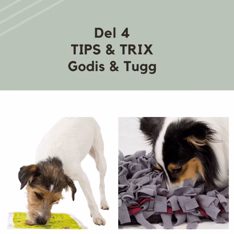 DEL 4 Godis & Tugg