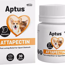 Aptus Attapectin - vid tillfällig mag-tarmstörning