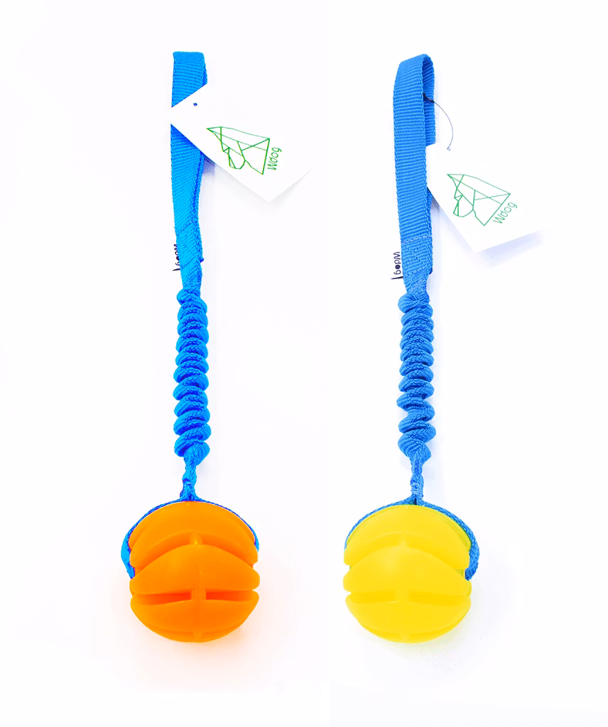 Belöningslek Wdog Neon Bungee med boll
