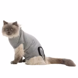 Kattbody storlek Medium/Large