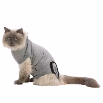 Kattbody storlek Medium/Large