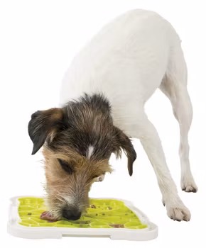 Lick'n'Snack platta 20x20cm