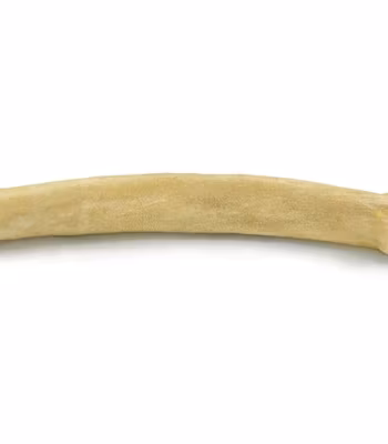 Rauh Älg sticks fylld med älg salami 19cm