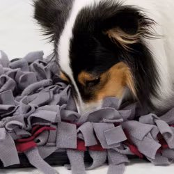 Snuffel matta 50x34cm