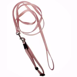 Valpkoppel set med halsband i olika färger