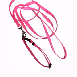 Valpkoppel set med halsband i olika färger