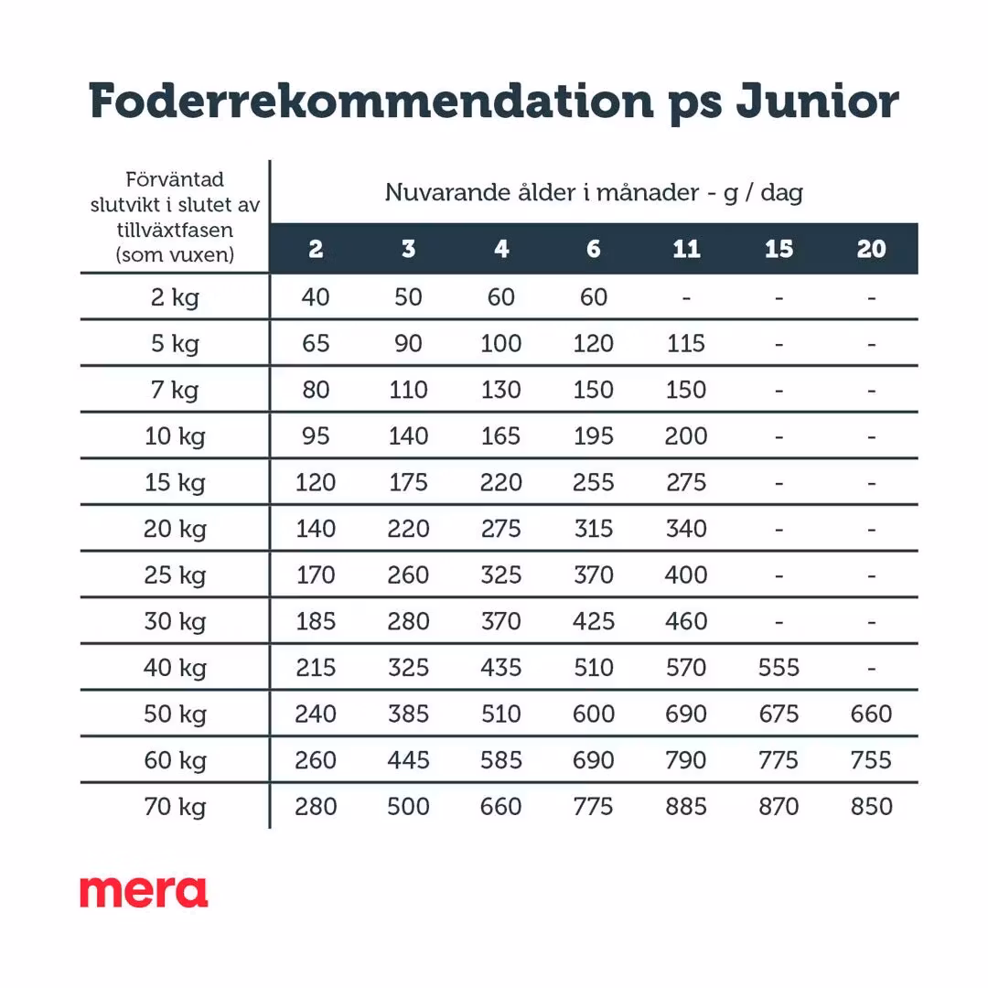mera pure sensitive Junior Kalkon & ris
