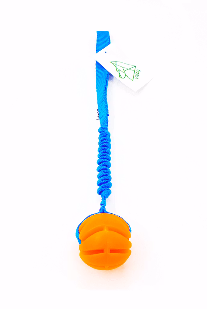 Belöningslek Wdog Neon Bungee med boll
