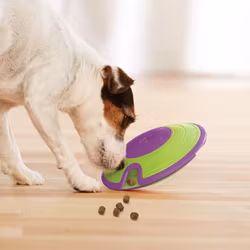 Aktiveringsleksak Maze nivå2 Grön