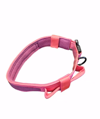Multihalsband med handtag!