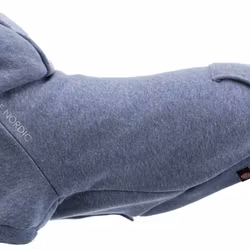 Be Nordic Hoodie