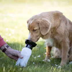 Perfekt flaska med inbygd skål att ha med på resan