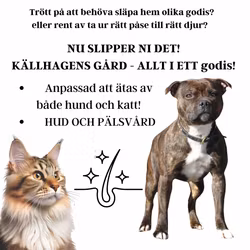 Källhagens gård - Allt i ett godis för både hund och katt - hud och päls