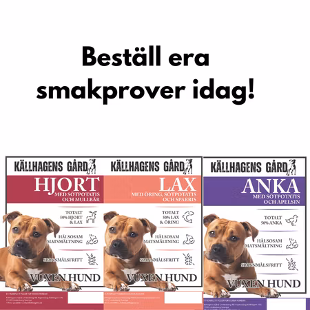 Smakprover från Källhagens gård - Hundfoder