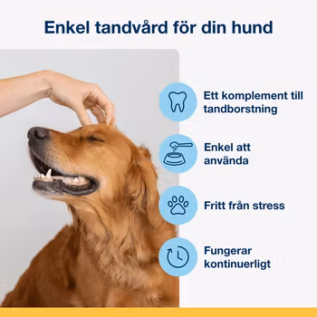 ProDen PlaqueOff®