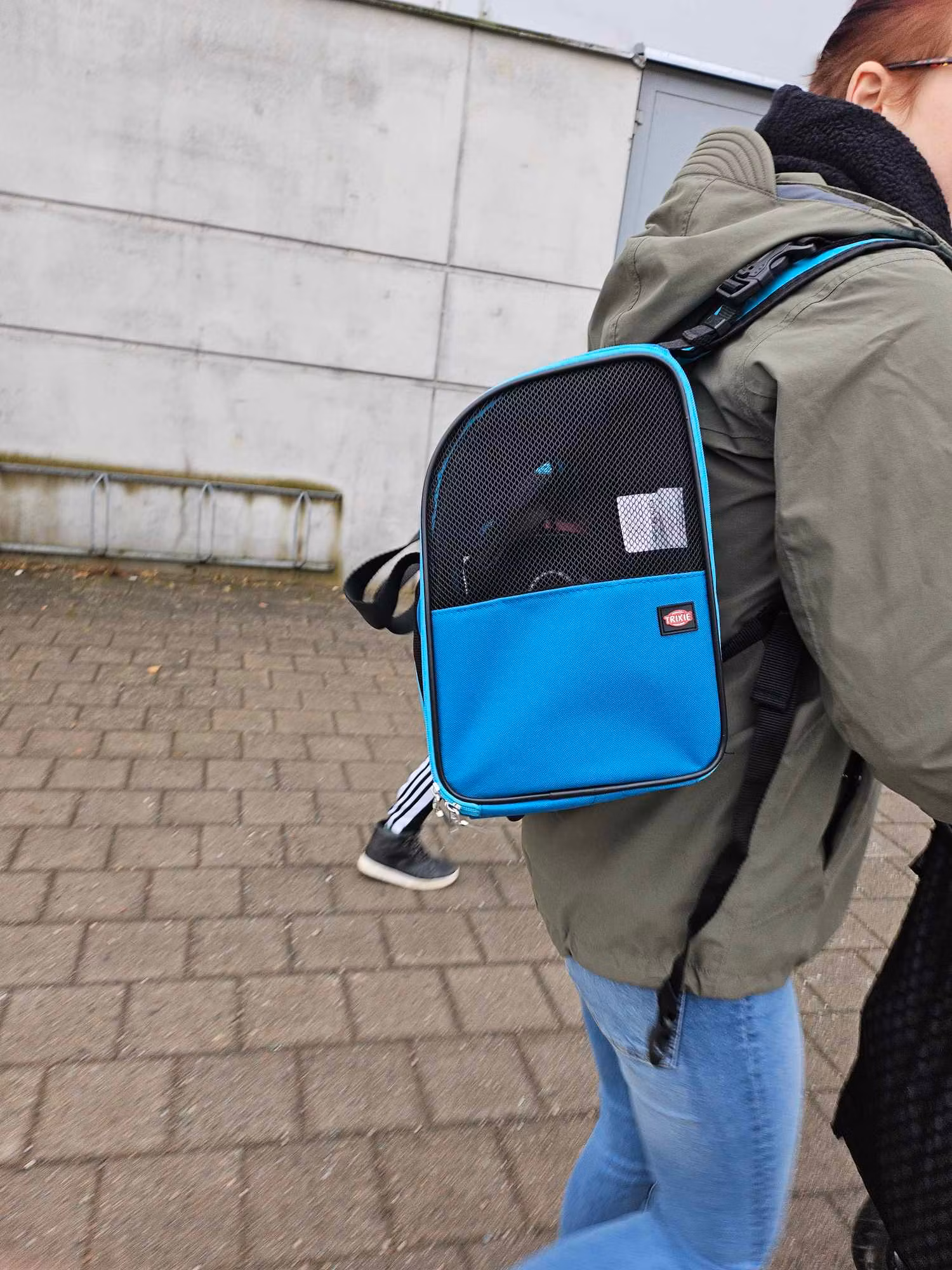 Transport ryggsäck för valp och små hundar