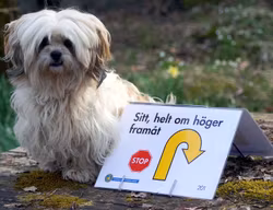 Skyllt hållare för rally lydnad 10pack