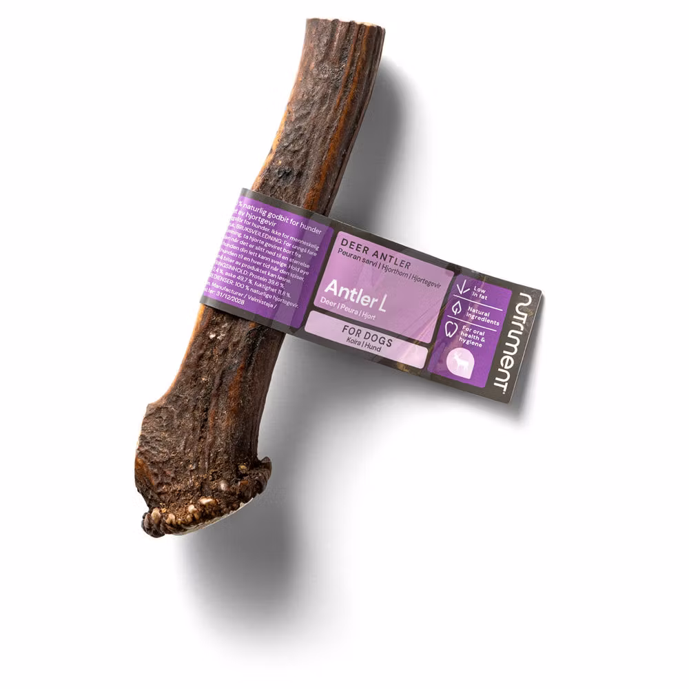 Hjorthorn - Antler L