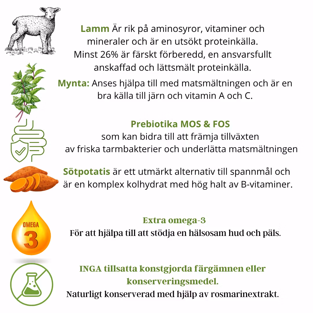 Lamm med sötpotatis och Mynta vuxen hund - Källhagens gård