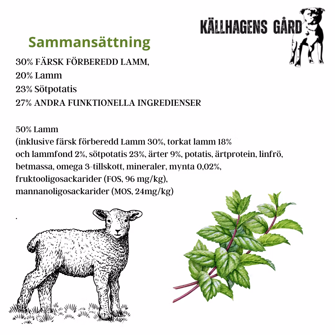 Lamm med sötpotatis och Mynta vuxen hund - Källhagens gård