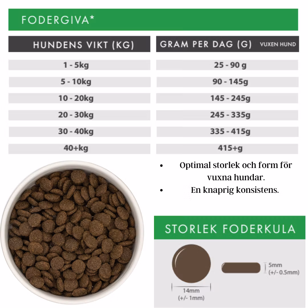 Lamm med sötpotatis och Mynta vuxen hund - Källhagens gård