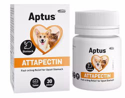Aptus Attapectin - vid tillfällig mag-tarmstörning