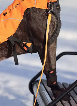Slitstark hundsko från V.I.P Finnmark High i 4pack.
