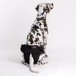 Tikskydd Ballerina - Finnero som sitter där det ska!