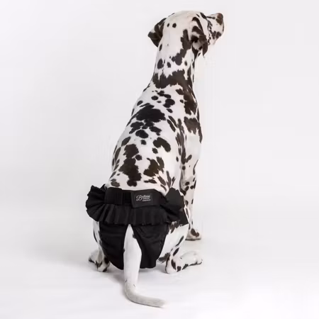 Tikskydd Ballerina - Finnero som sitter där det ska!