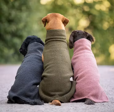 PolarPomppa hundfleece - tröjan är designad för aktiva hundar