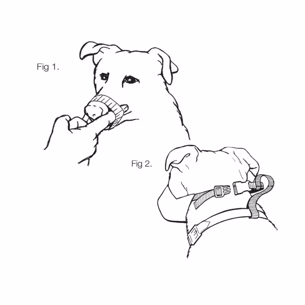 Nylon munkorg - Mikki