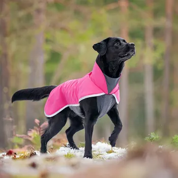 SporttiPomppa är ett varmt och vattentätt softshell-hundtäcke