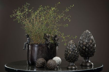 Kronärtskocka brunaktig, 11 cm