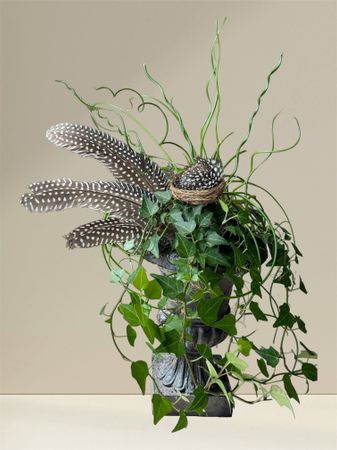 Fågelnäste 3-pack blompinne 21 cm