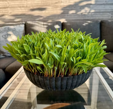 Skål Romantik återanvänd plast Ø30x9cm