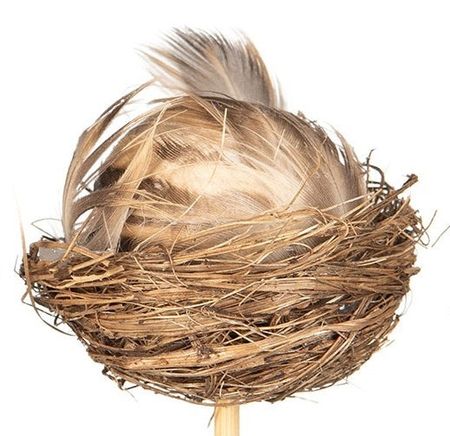 Fågelbo beige, 5 cm