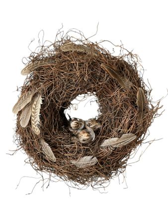 Fågelbo beige, 5 cm