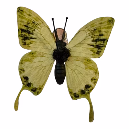 Grön fjäril clip 6x6 cm