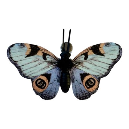 Fjäril clip Blue 8x4,6 cm
