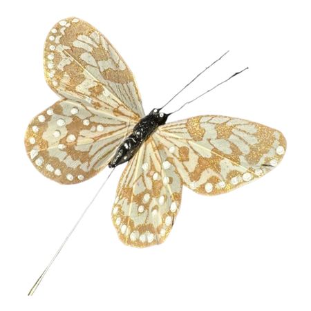 Fjäril Golden blekbeige, 9 cm