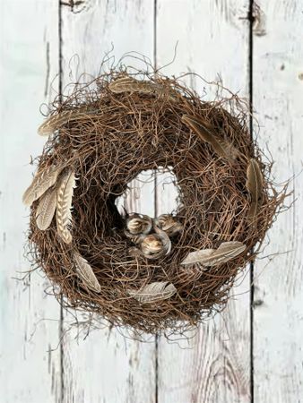 Fjäder Rand  ca 15 cm