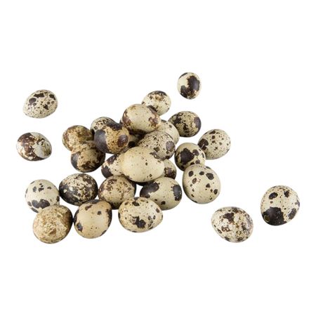 9 st Vaktelägg Natur ~3-4 cm – Dekorativa och Unika