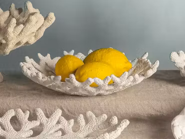 Fat Korall Poly 38x21x4cm