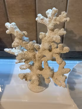 Vit Konstgjord Korall 8x16x20 cm – Realistisk Dekoration