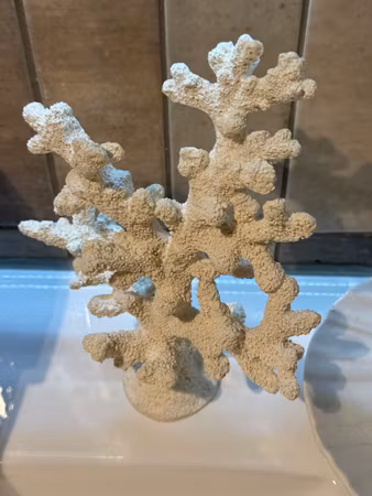 Vit Konstgjord Korall 8x16x20 cm – Realistisk Dekoration