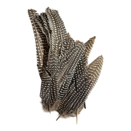 Svartvitprickiga fjädrar natur ca 13 st